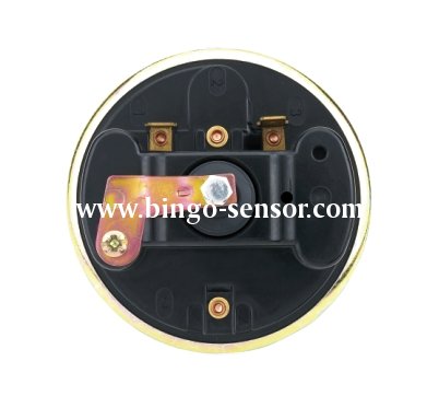 Diaphragm pressure switch PS-M7-back