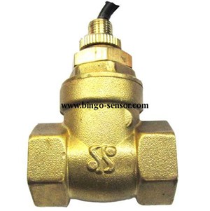 /uploads/allimg/flow_switch/Paddle_Type_Flow_Switch/Paddle_Type_Flow_Switch_FS-M-PD020.JPG
