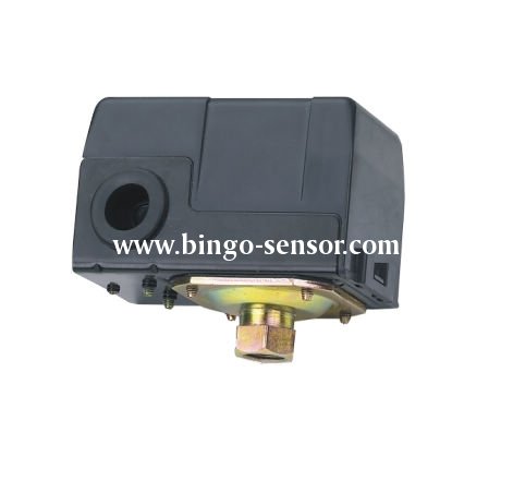 Water pump pressure switch PS-W10-2